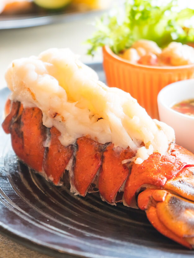 lobster pic